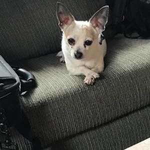 Meet your Posher, Vanessa